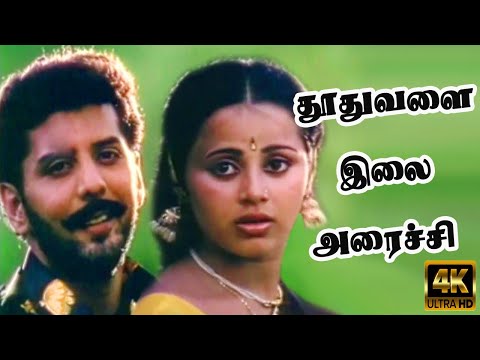 தூதுவளை இலை அரைச்சி |  Thoothuvalai Ilai Arachi | Super Hit Love Melody Song | Mano, S Janaki | 4K