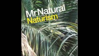 Mr Natural featuring Cass Browne - The New Fire Net Worth