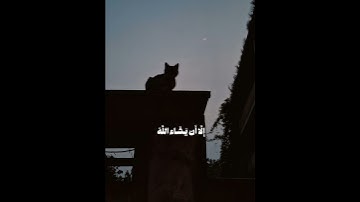 من سوره الكهف المنشاوي وَاذْكُر رَّبَّكَ إِذَا نَسِيتَ شاشه سوداء 🤍🥀