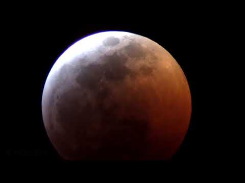 Total lunar eclipse 2019 Telescope and Timelapse V24849