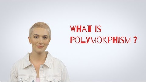 Software Engineer Technical Interview Questions | What is Polymorphism in Java?