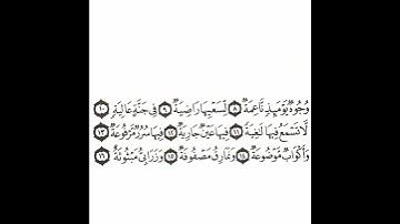 سورة الغاشية 2 القسم الثاني تكرار كيفي من .. وجوه يومئذ ناعمة .. إلى .. وزرابي مبثوثة