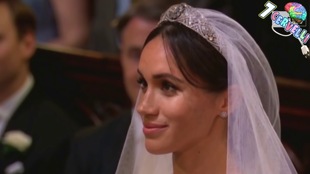 Babbo Natale 7 Cervelli.7 Cervelli Facebook