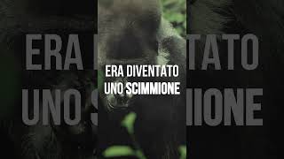 Da compagno ideale a... SCIMMIONE. | Sogni e Inconscio #shorts