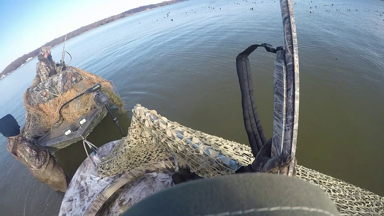 Buffle Bonanza 12 16 2017