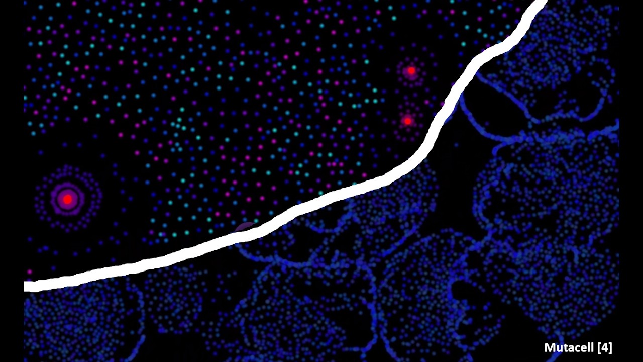 Mutacell: Exploring charge in my particle life simulator - YouTube