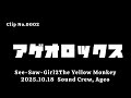 Clip No.0002 「See-Saw-Girl」The Yellow Monkeyのコピー