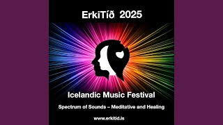 Elektrónísk samsuða