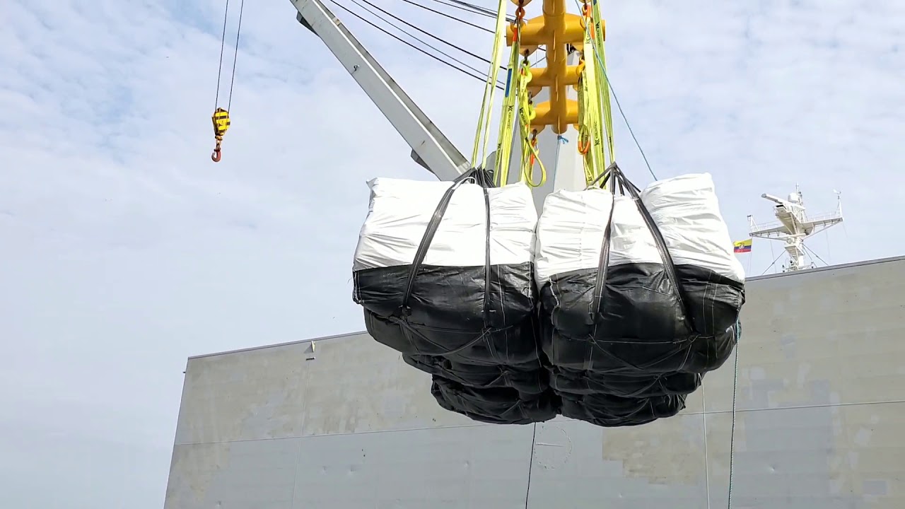 QC Terminales recibe al La Vie en Rose YouTube