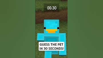 Guess the Skyblock PET in 30 seconds! #hypixel #skyblock #minecraft #shorts