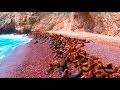 La maravilla ecológica en Paracas