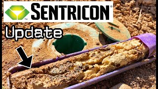 Sentricon Termite Bait Stations (1 Year Update)
