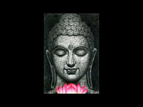 Loop Guru - Yayli