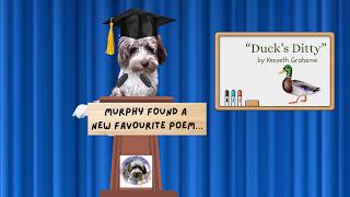Murphy's Weekly Children's Poem | Ducks Ditty | Read Aloud by Stories with Murphy