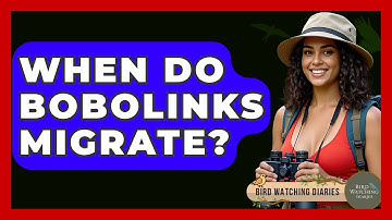 When Do Bobolinks Migrate? - Bird Watching Diaries