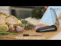 Meatit  smart cooking probe