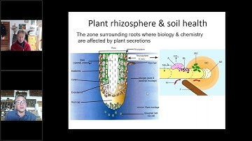 The Onion Project webinar - onion diseases