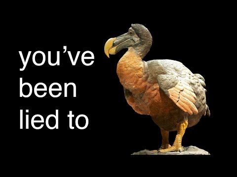 Video: Dodo bird: the story of extermination