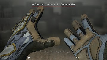 Specialist Gloves | Lt. Commander - Skin Combinations
