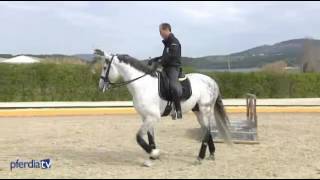 Pedro Torres Working Equitation Dvd