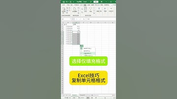 Excel技巧复制单元格格式 #excel #exceltips #learnexcel #exceltricks #learnexcelfree #microsoft