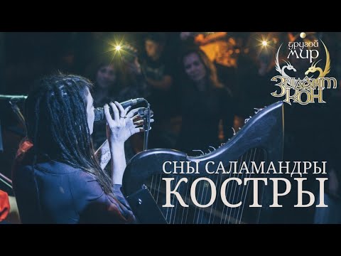 Сны Саламандры -