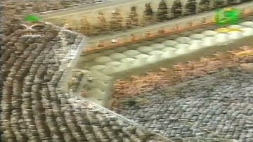 سورة الأنعام 98-111 - للشيخ عبد الرحمن السديس - من تهجد ليلة 27 رمضان 1421