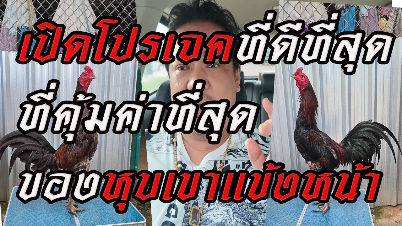 เปิดโปรเจคที่ดีที่สุดคุ้มค่าสุด ใครที่ชอบLinebreed เบอร์แข้ง+แข้งหน้า+เบอร์แข้งไม่ควรพลาด