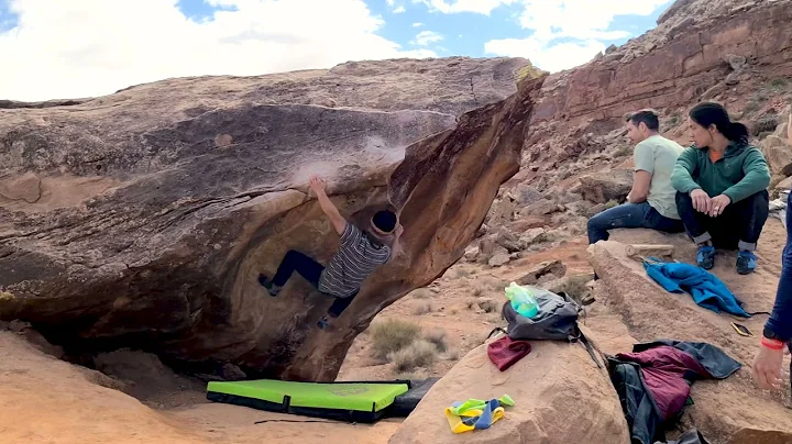 The Swan V7 | MOES VALLEY