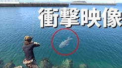 釣りよかでしょう Youtube