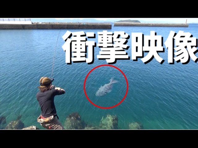 釣り