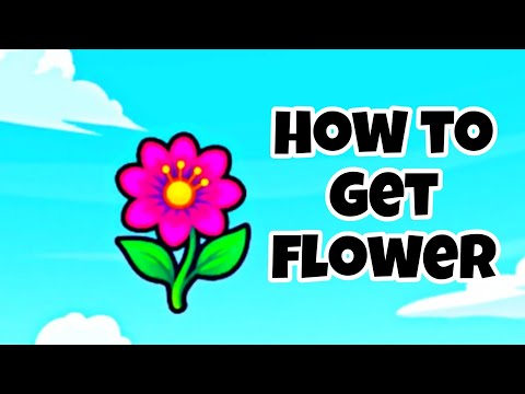 How to Get
