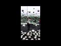 Yayoi Kusama Infinity Mirrored Room: Let&rsquo;s Survive Forever