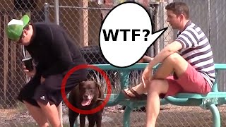 Wet Fart Shart Prank (Featuring Sharting On Dogs)