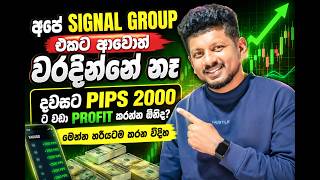 සිග්නල් වගේම Trades Manage කරන විදිහත් මෙන්න | VIP SIGNAL Group Trading Results 2026-07-20