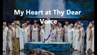 From Samson et Dalila Opera My Heart at Thy Dear Voice