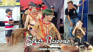 Jaran Kepang Sekar Bawono live Yosorejo, Batang