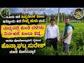 Growing Ginger Between Mulberry &amp; Silkworm Farms &ndash; A Farmer&rsquo;s Unique Challenge!