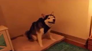 Memes that I watch while my friend is clueless