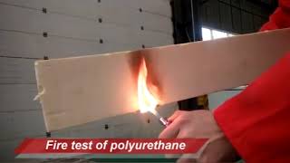 Fire Resistance Testing of Insulation Core Materials for Sandwich Panels