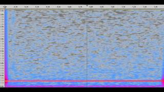 Spectrogram of tuning fork tone