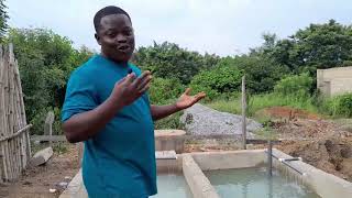 HOW TO START A FISH FARMING ON YOUR PIECE OF LAND IN YOUR HOME  🏡 😀 😉
