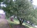 DISEÃ‘O DE JARDINES AUTOMATICOS EN QUITO  LA VIÃ‘A TUMBACO