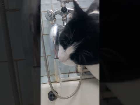 Семушка пил из крана воды