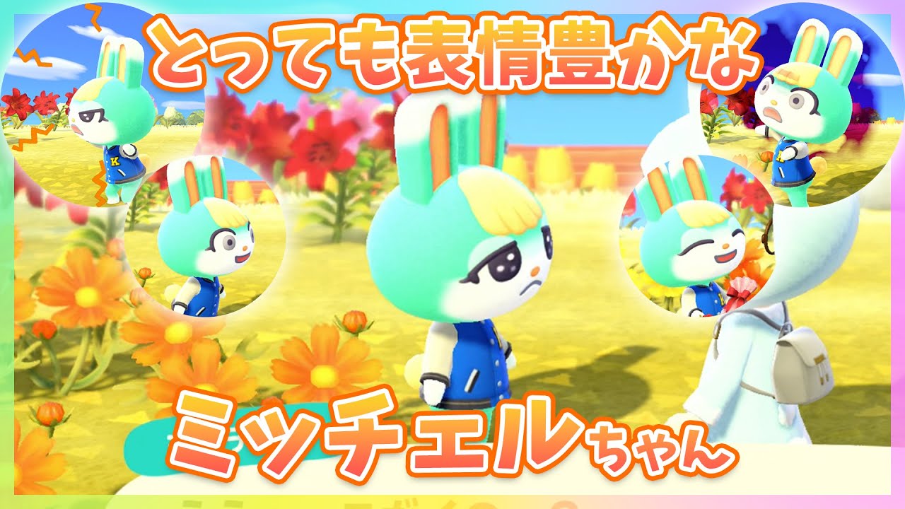あつ森】ミッチェルに『色々なリアクション』させたら可愛すぎた - YouTube