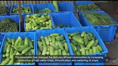 IFAD Documetary Video