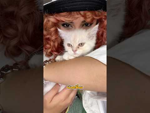 به گربمون چی بدیم که سالم بمونه