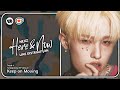 "Here &amp; Now" by NEXZ (ネクスジ) - Line Distribution (Ko-fi Request)