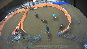 Big Sky Ranch Sorting Saddle Series #2 - #10 H/C - Round #2 - Ride #8