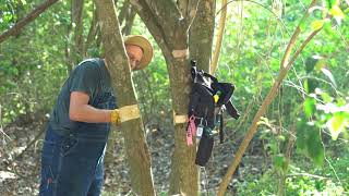 Demonstration of Invasive Tree Girdling with Cliff Tyllick